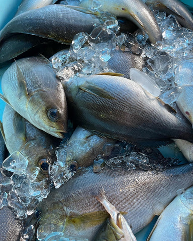 市場偵察5月15日