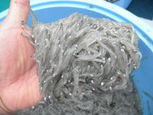 画像をギャラリービューアに読み込む, 極冷生シラス 200g入